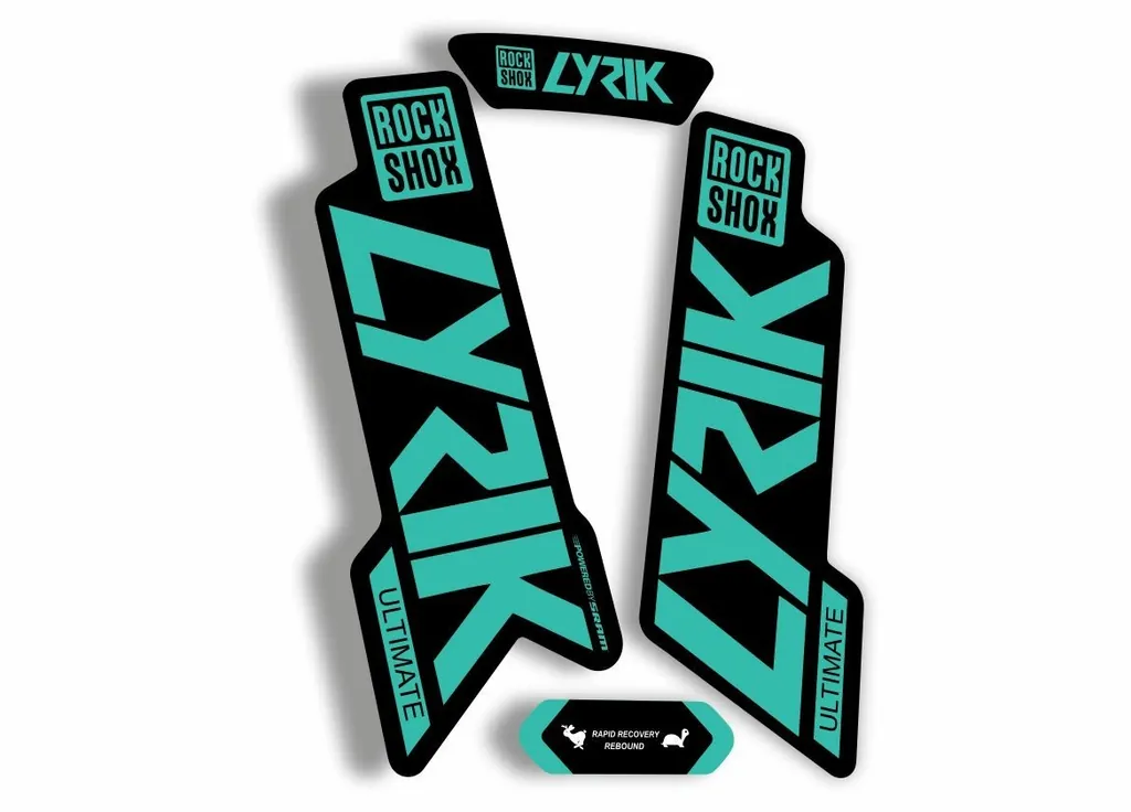 Rock Shox Lyrik Ultimate 2020 Fork Decal Bike Cycling Sticker Dolphin - 1